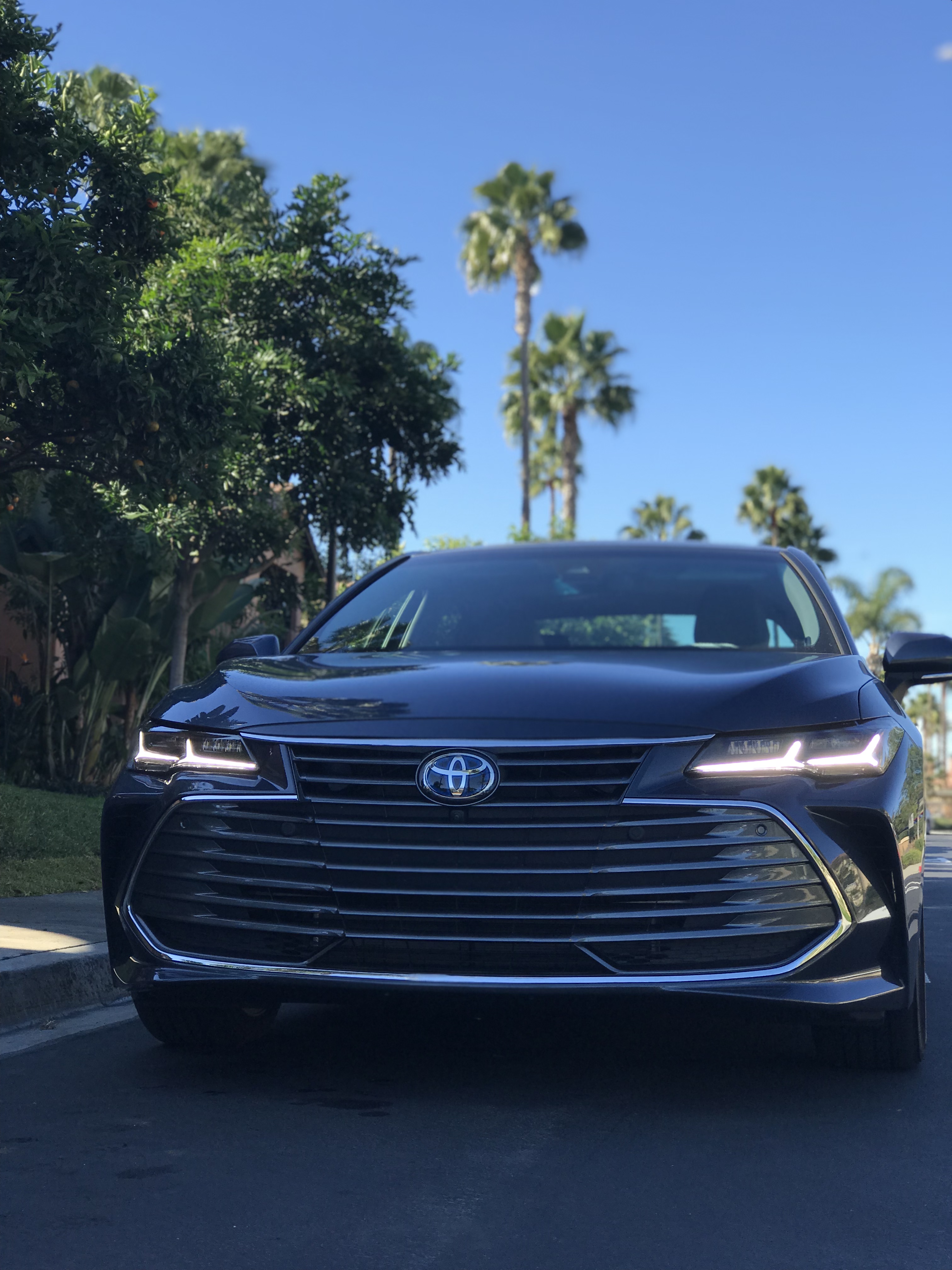 Toyota Avalon Hybrid 2019